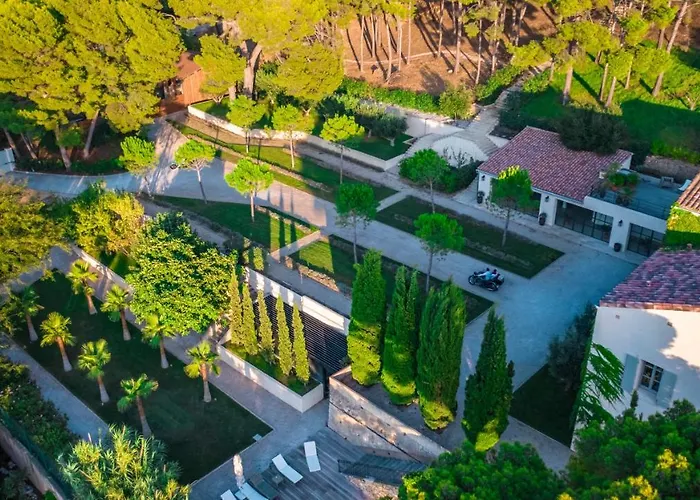 Domaine De Canaille Cassis